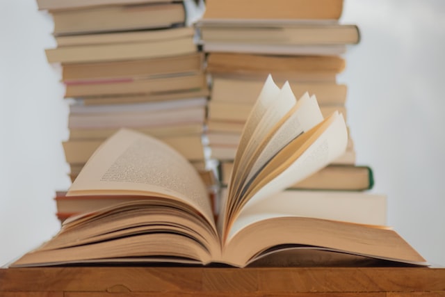 Rentrée littéraire : les 10 romans préférés des libraires indépendants -  Livres Hebdo