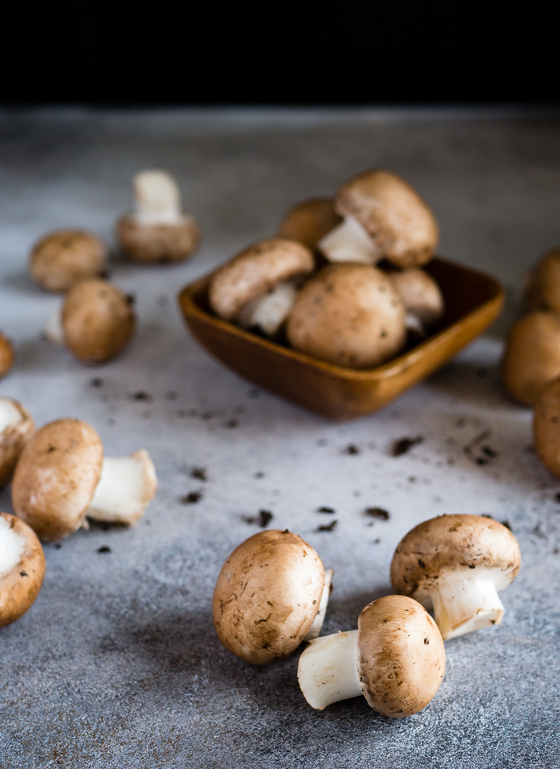 Encontrado hongo Boletus Edulis de medio metro de altura