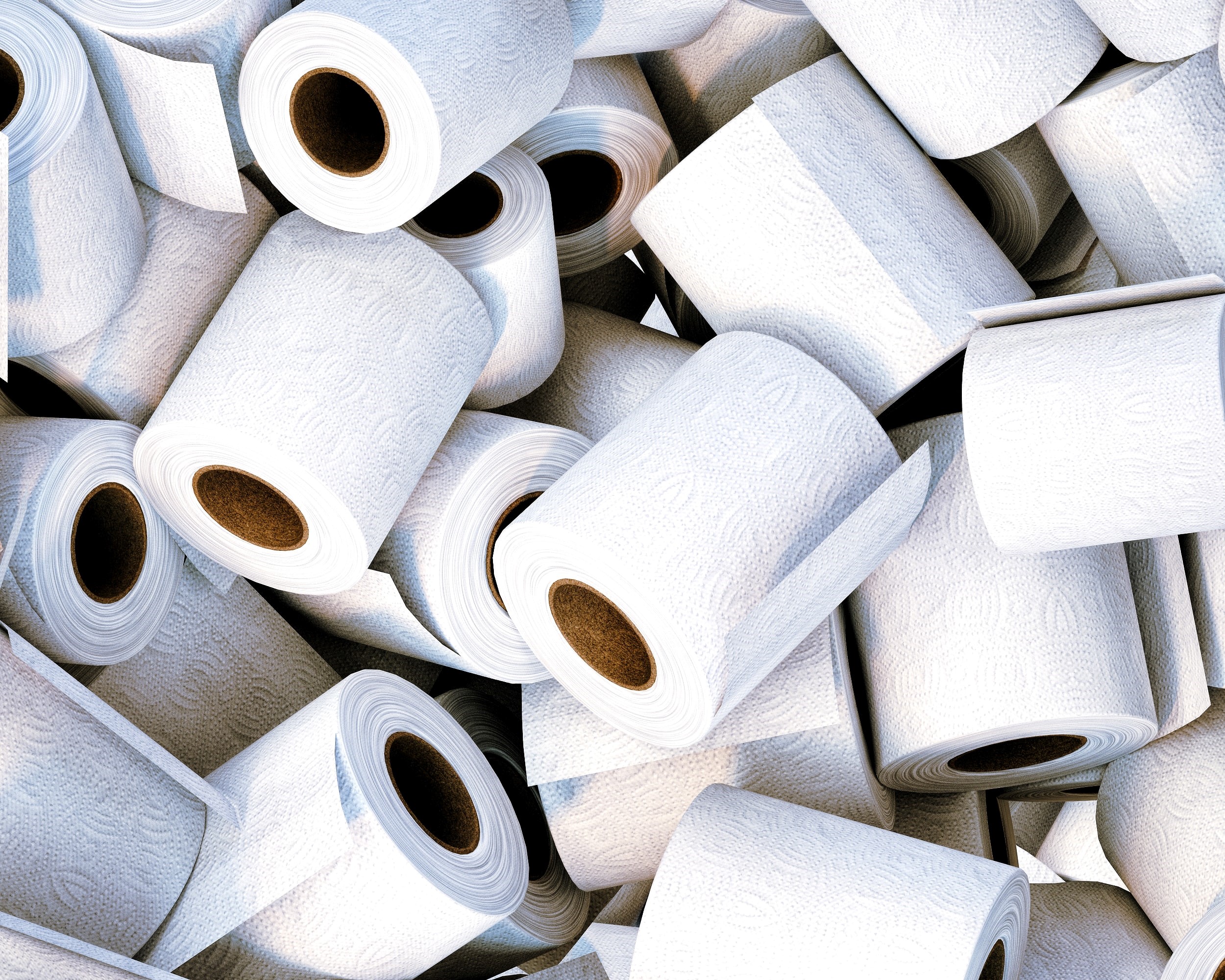 Papier toilette, essuie-tout, mouchoirs : les prix vont-ils «  considérablement augmenter » ? - Paris-Normandie
