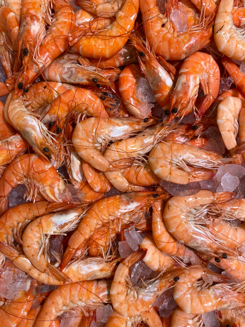 The Shrimp Market Italy Businesscoot