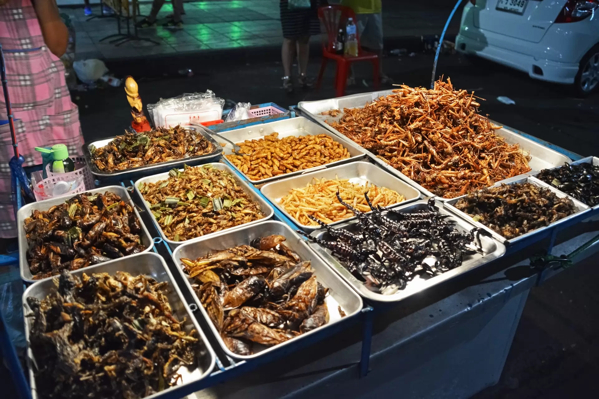 Le marché des insectes comestibles - Espagne